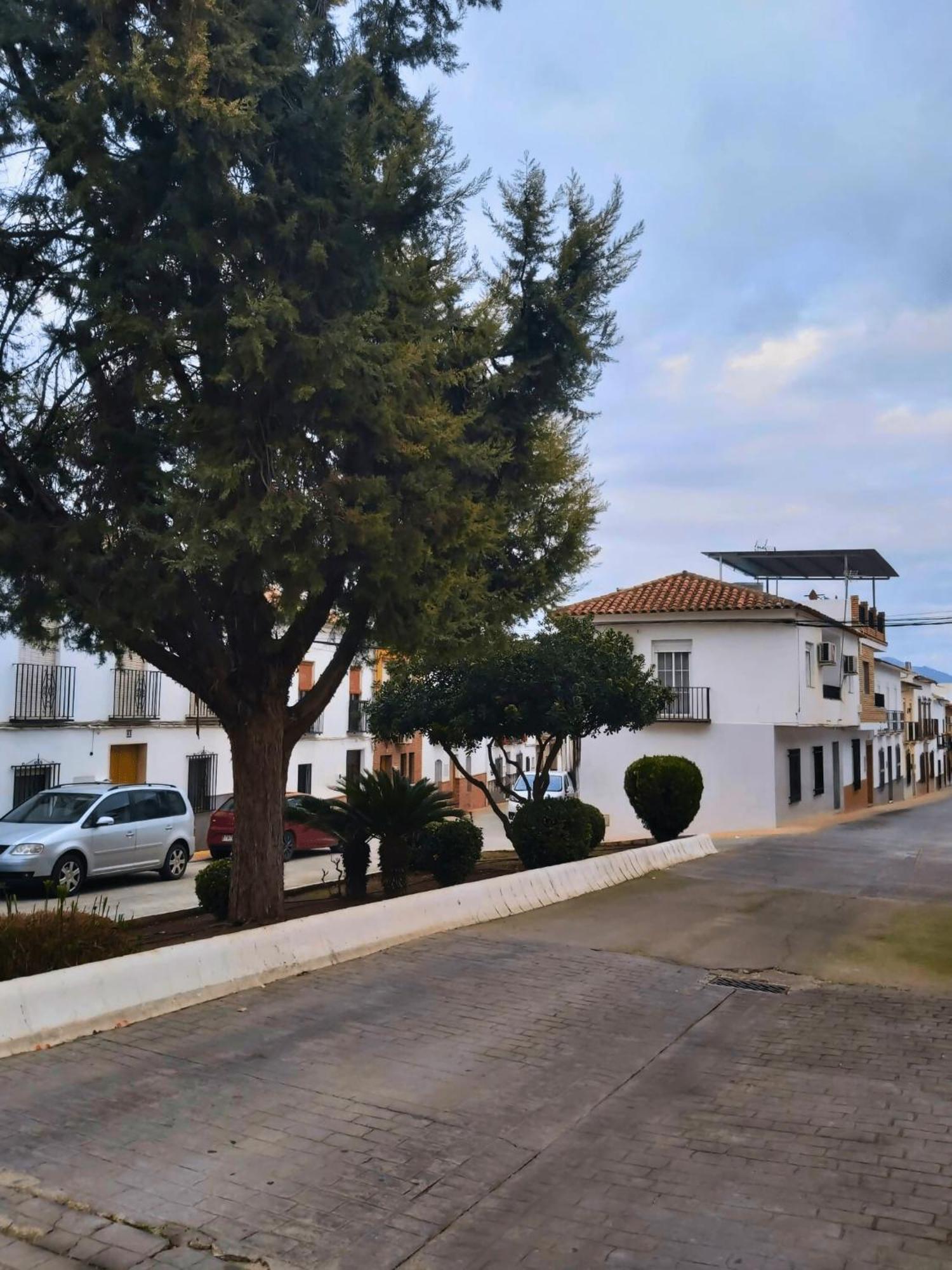 Arcadia Centro De Andalucia Villa Encinas Reales ภายนอก รูปภาพ